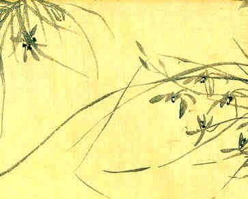 药店名称及其含义，不重名