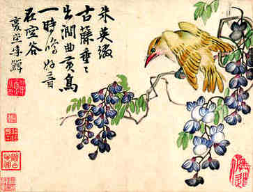 男人买狐狸当宠物的后果,养狐狸要慎重 男人买狐狸当宠物的后果,养狐狸要慎重