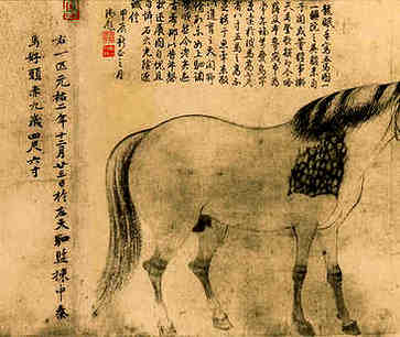 虎年农历几个月生命最好