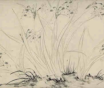 家里养什么植物招桃花运桃花兰是可行的