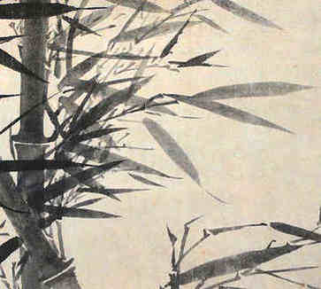 人短好不好，人短代表什么