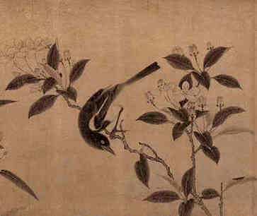 二十四番花信风，小寒花哪种？