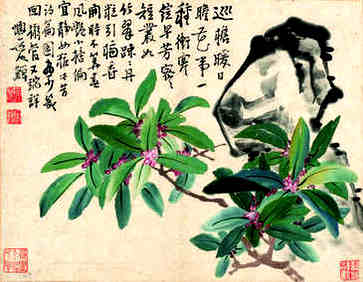 男木和女金，搭配好吗