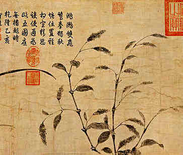 虎年宝宝最好的名字是男孩张姓，小名推荐