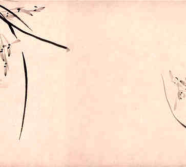 先穷后富的脸，下巴厚