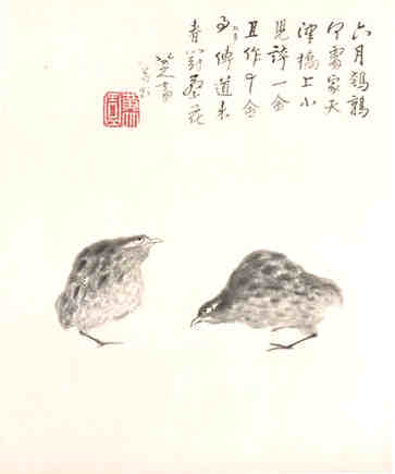 大暑吃什么菜？别忘了三种瓜清热消暑。
