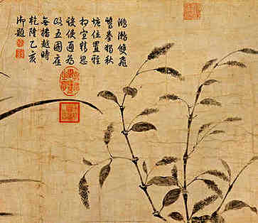 每个月14号是什么情人节？