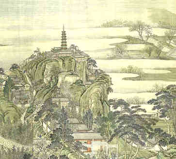 什么植物适合过年