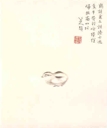 虎姑娘名字最佳用字大全，诗意命名推荐