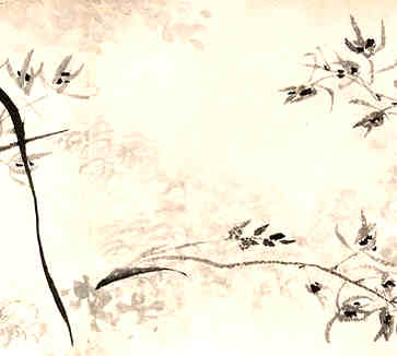 房子朝向风水，如何揭露相关禁忌