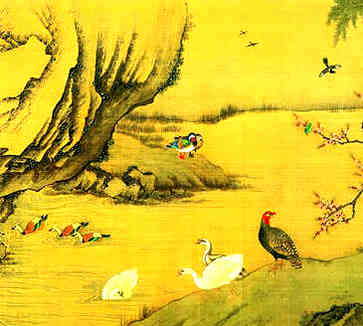 美食家福音，霜降花生怎么做？轻松享受美味