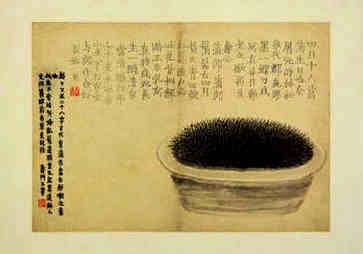 女生手掌图解大全，左先天右后天