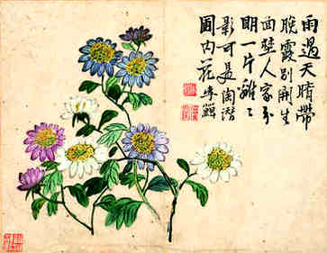 女命官杀混杂，一定不好吗