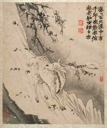 淘宝女装店，分享好名字