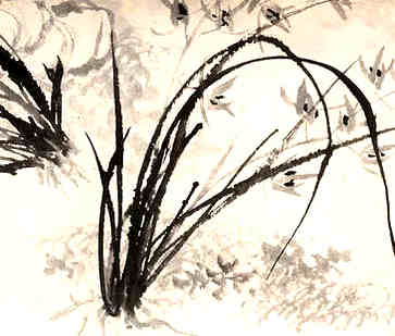 元旦是中国的传统节日吗，养生注意事项