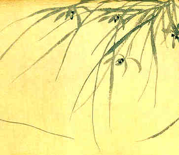 节日民俗大观，彝族火炬节有哪些特点？