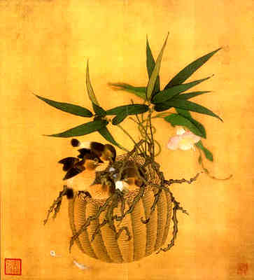 优雅的花店名称，浪漫的英语意义很好