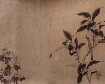 中短代表什么，影响健康吗
