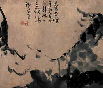 虎宝宝命名宜用词，最佳名称大全