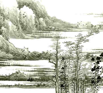 袜店名称，淘宝