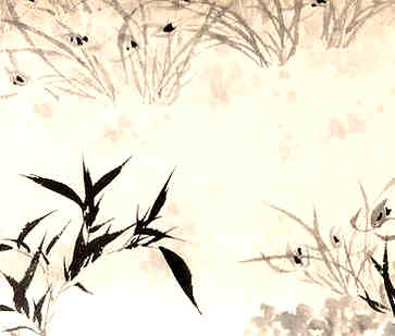 什么职业是木命忌，为什么不适合