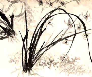 揭秘，历史悠久的哈萨克医学
