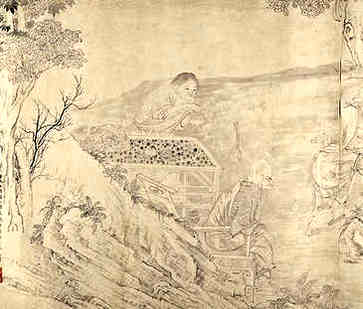 每个人都有法律线吗护理因人而异