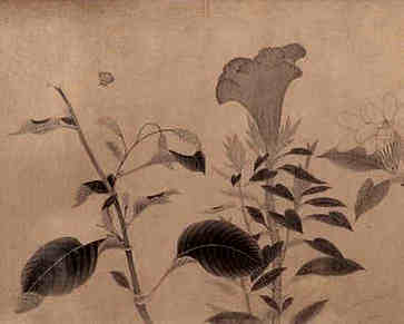 女生鼻子长痣代表什么