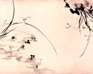 长江是世界十大河流之一