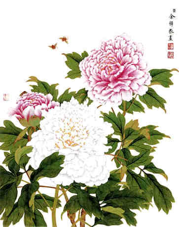 新字开头公司名称大全，如何取好大气