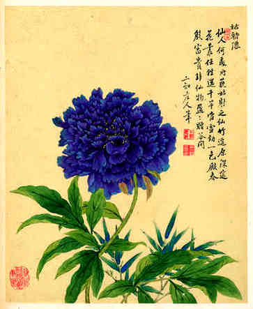 个性化服装店名称大全，谐音好听