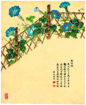 八字测命，农历二月虎宝宝命运分析，雄心勃勃，理想