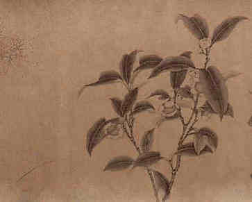 ，桃花运势旺盛