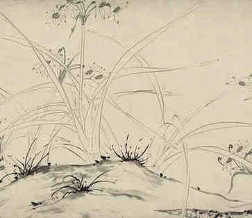 卧室里有什么东西可以帮助睡眠，应该放催眠绿色植物