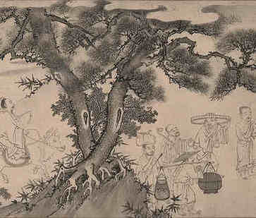 小雪代表花信和故事