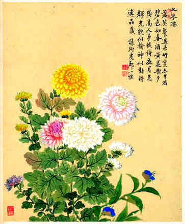 免费公司名称，带迅字的公司名称大全