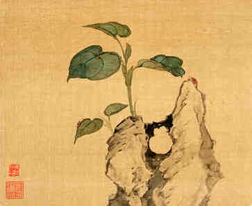 女装店取名