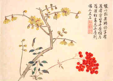 中国十大冬暖夏凉城市，最舒适的气候