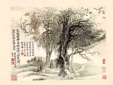 夏天吃什么如何养生