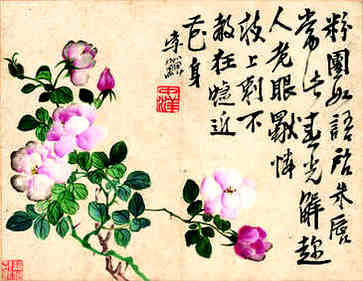 女人穿什么&