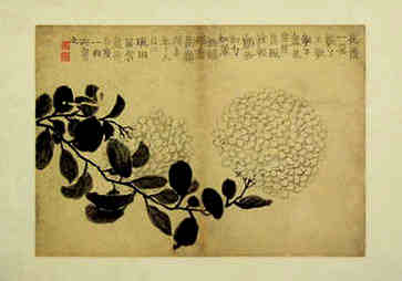 简单有创意的面膜店名称
