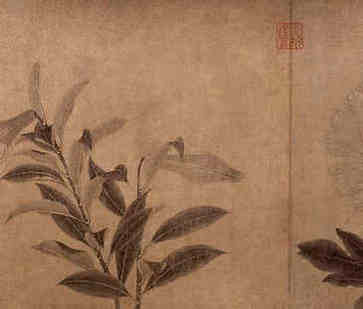 节气与天文，二至点是什么意思？