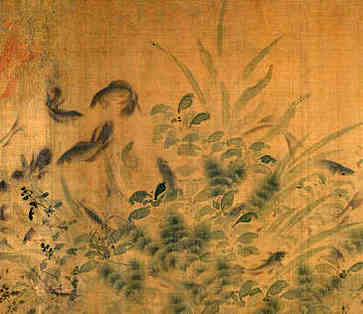 平安树风水摆放三不要，风水讲究