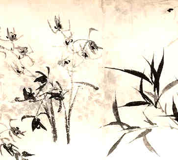 拿一个女装淘宝店的名字，打动人心的好名字