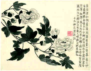 店名，时尚，特别