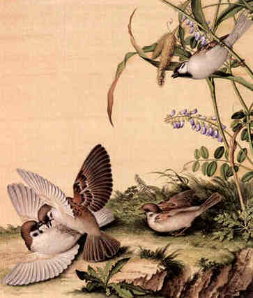 八字合婚周易在线，两人关系缘分