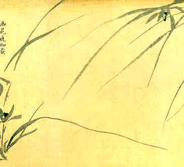 小满美食药膳，竹荪老鸭汤