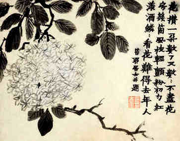 十二生肖是龙人的吉祥数字，聚财旺运的手机号