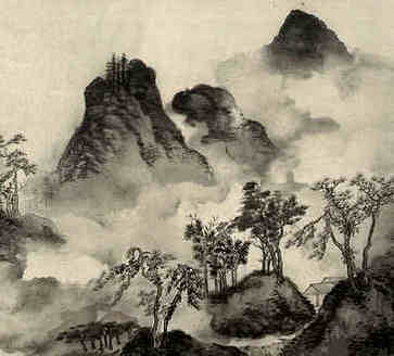 什么植物适合书房芦笋寓意吉祥