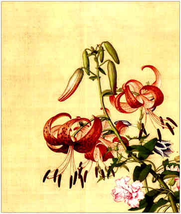 晋剧金水桥唱词赏析，金水桥是什么
